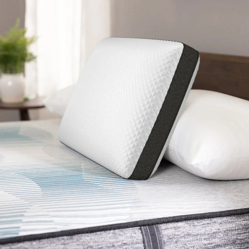 Beautyrest Black Diamond Memory Foam Pillow with AquaCool Technology
